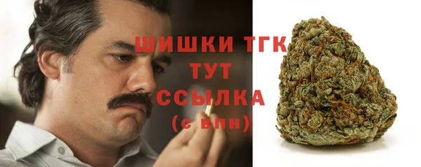 тгк Богданович