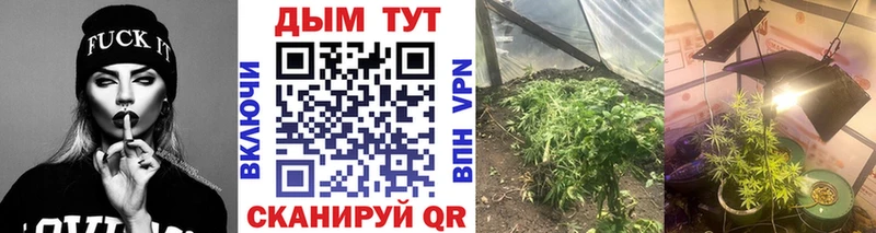 Канабис гибрид darknet какой сайт Полысаево